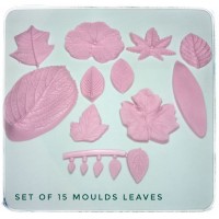 01 Set of moulds -  Leaves