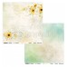 ScrapAndMe - Sunflowers - 12x12 Paper Set 